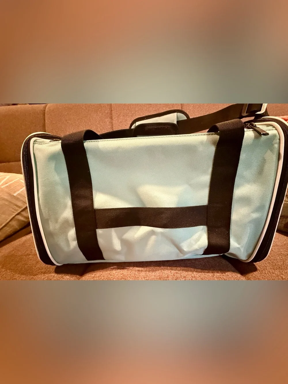 Dog/cat carrier